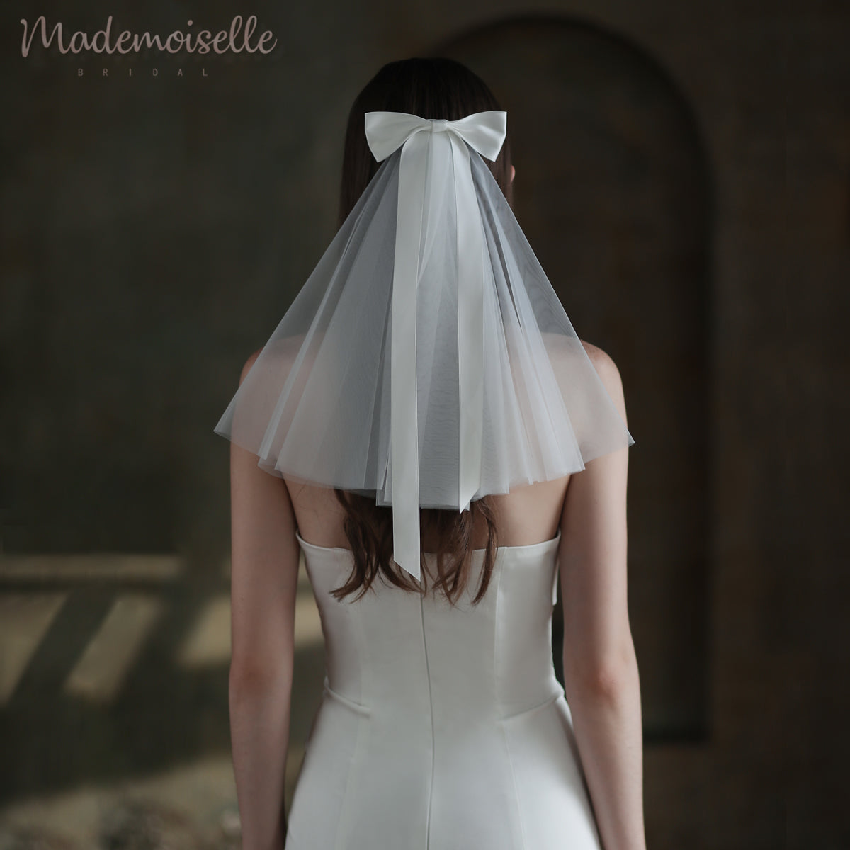 The exquisite back of a bride, featuring a flowing veil and a stylish bow, epitomizing timeless bridal elegance.