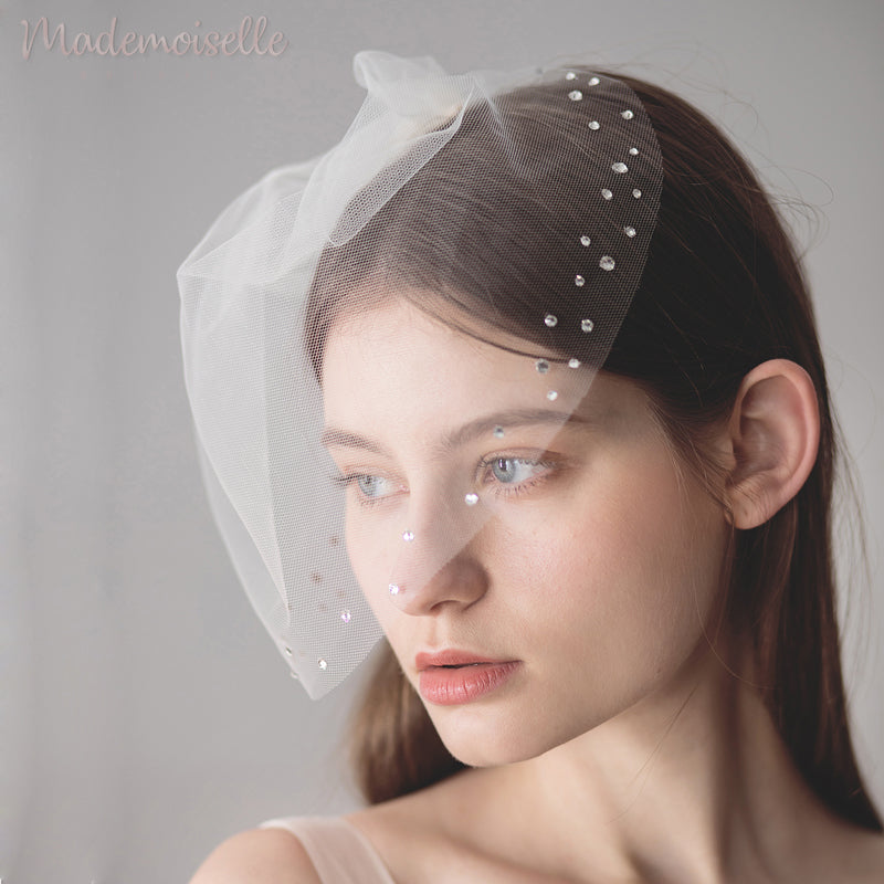 Birdcage Veils