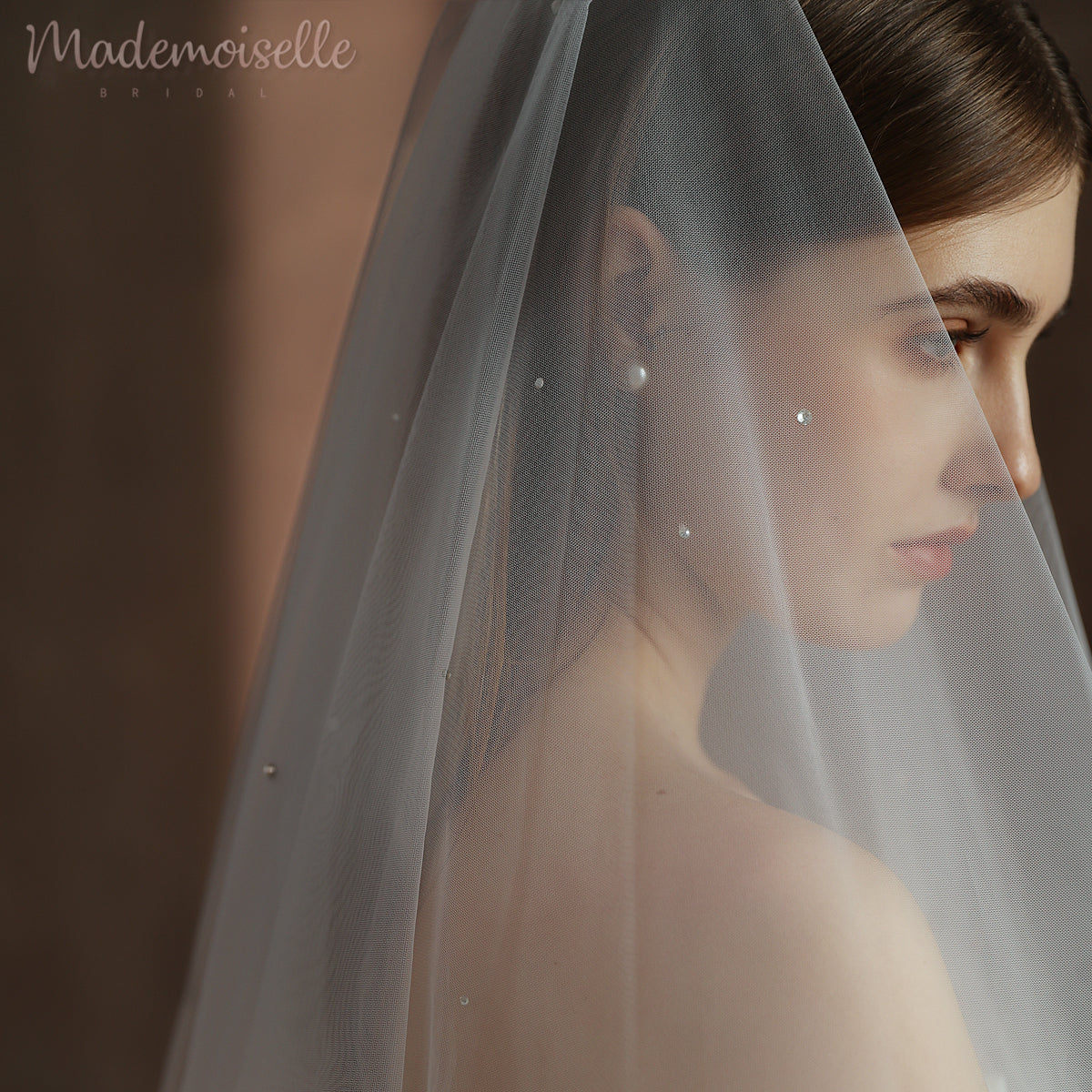 A stunning bride in a delicate wedding veil, intricately adorned with crystals, radiating sophistication and charm.
