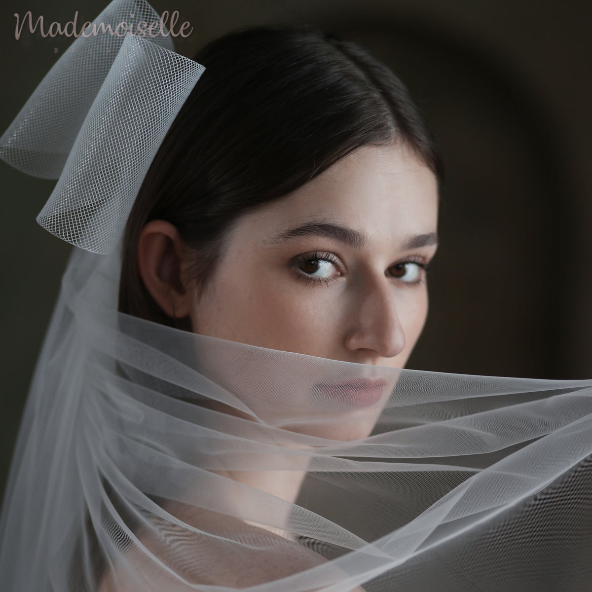 A stunning woman draped in a delicate veil with a bow, embodying elegance and allure in a captivating moment.