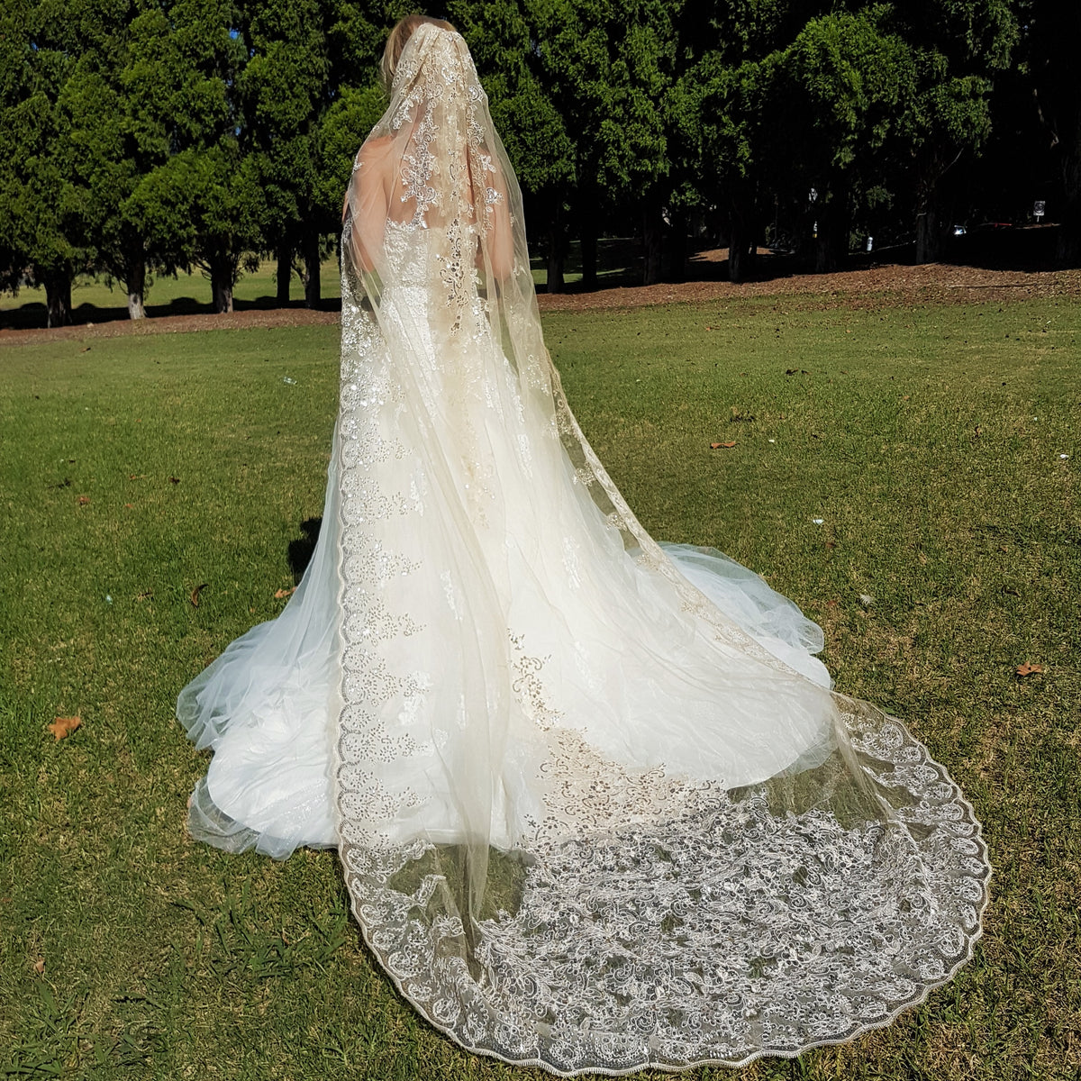 Paris Champagne Veil - Shimmery Veil - Wedding Veils Australia