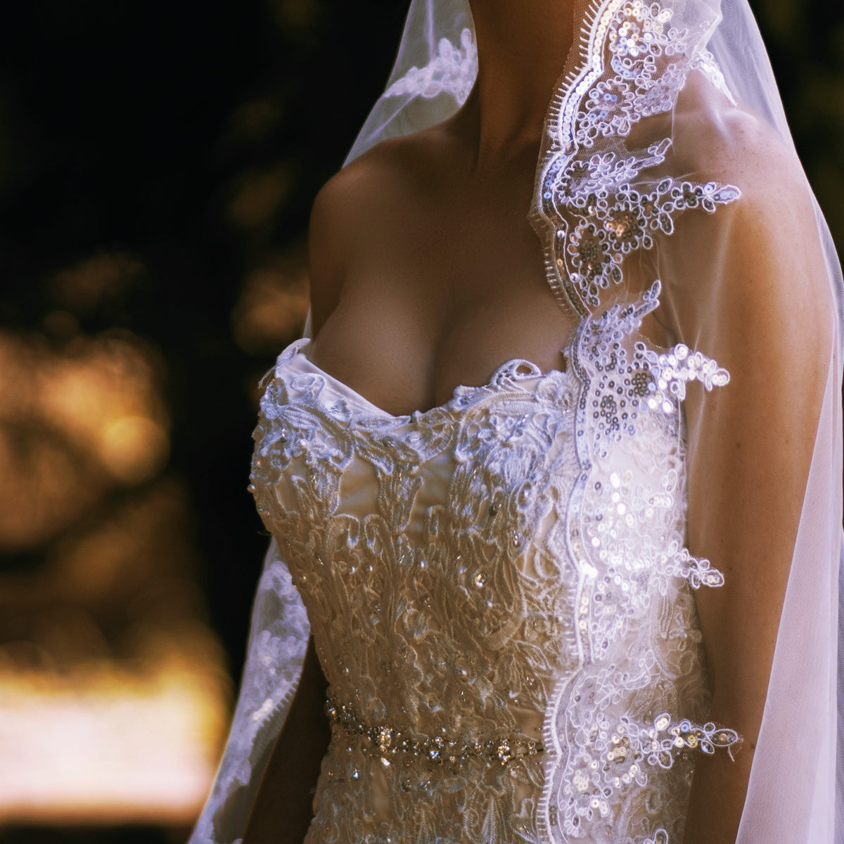 Rachav one tier sequin lace applique ivory cathedral wedding bridal veil