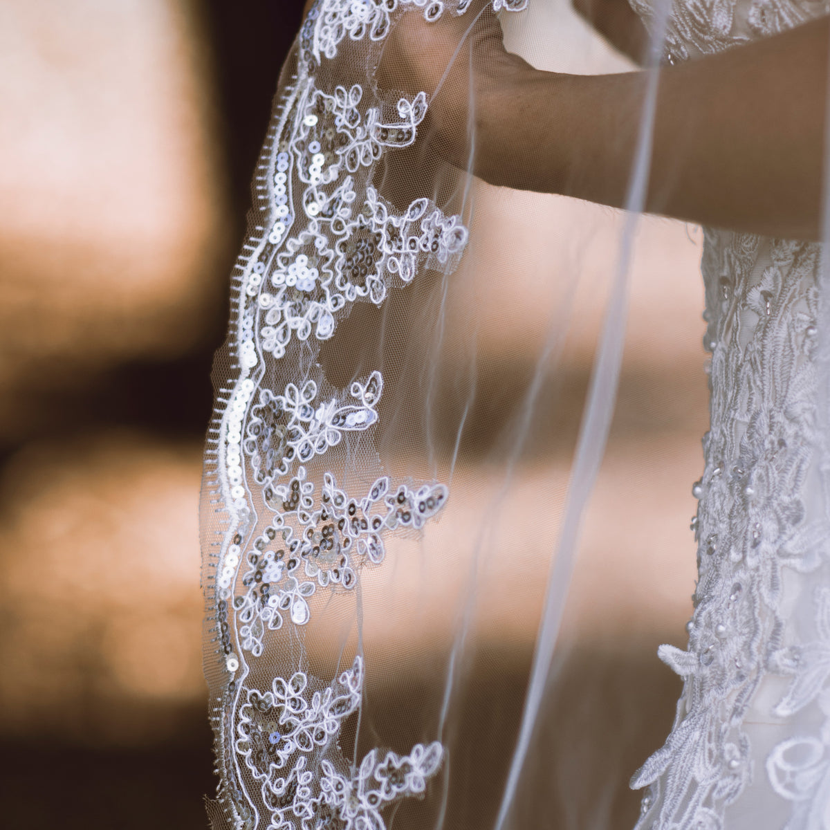 Rachav one tier sequin lace applique ivory cathedral wedding bridal veil